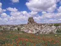 Mohnfeld vor Ortahisar Kulisse